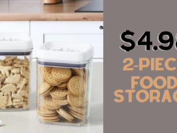 Walmart | 2-Piece Storage Container Set Only $4.98 (reg. $9.98)