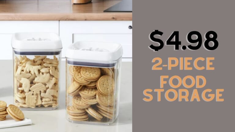 Walmart | 2-Piece Storage Container Set Only $4.98 (reg. $9.98)