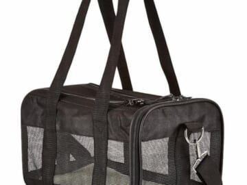 Amazon Basics Soft-Sided Mesh Pet Travel Carrier