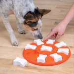 Outward Hound Nina Ottosson Dog Smart Orange Interactive Treat Puzzle $6.59 (Reg. $17) – 133K+ FAB Ratings!