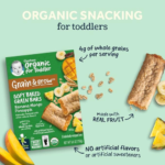 Gerber Organic 8-Pack Grain & Grow Cereal Bars, Banana Mango Pineapple, 5.5 oz as low as $22.28 After Coupon (Reg. $34.38) + Free Shipping – $2.79/Pack