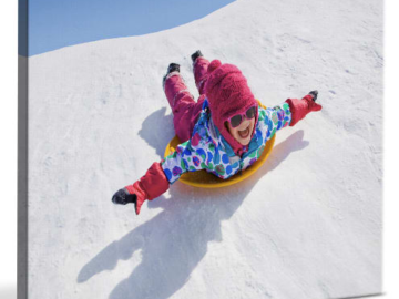 16" x 20" Canvas Print for $20 + free shipping