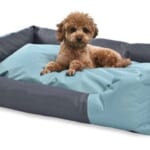 Amazon Basics Water-Resistant Easy to Clean Pet Bed