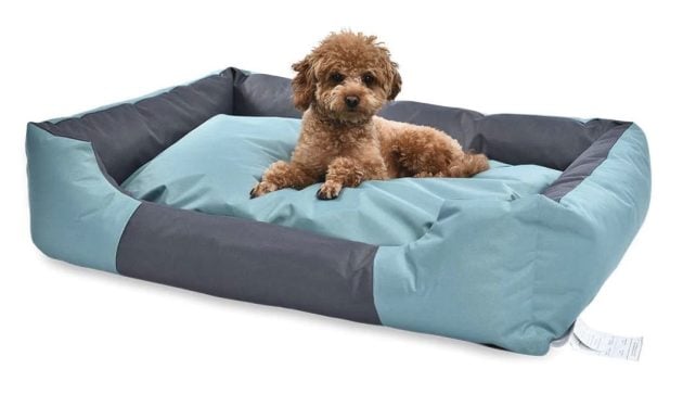 Amazon Basics Water-Resistant Easy to Clean Pet Bed