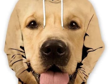 Men's Graphic Print Hoodie for $16 + $5 shipping