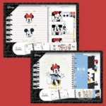 Disney Happy Planner Mickey & Minnie Mouse Classic Budget Guided Journal Box Kit $5.97 (Reg. $25)