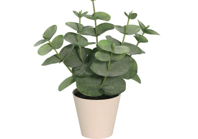 Home Decor at Walmart from 88 cents + free shipping w/ $35