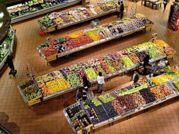 supermarket stalls in coolers market