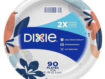 Dixie Medium Paper Plates