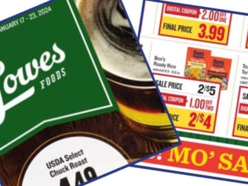 lowes foods weekly ad