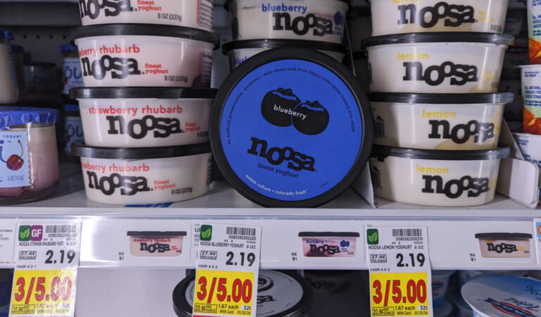 Noosa Yoghurt As Low As $1.42 At Kroger (Regular Price $2.19)