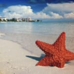 Riviera Maya Flight & Hotel Vacation Packages from $569