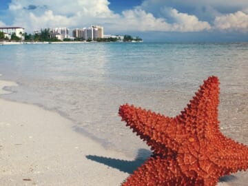 Riviera Maya Flight & Hotel Vacation Packages from $569