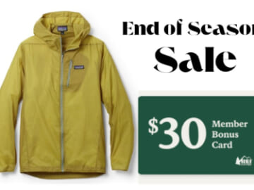 40% Off Patagonia Past-Season Styles + Co-op Membership Deal