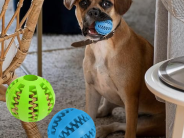 Dog Treat Toy Pack of 2 Chew Ball with Slots for Food 2.8″ $2.99 (Reg. $8) – $1.50 /Ball
