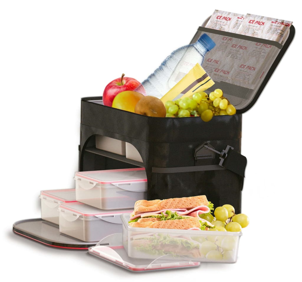 FitRx Insulated Lunch Bag w/ Containers & Ice Packs for $15 + free shipping w/ $35
