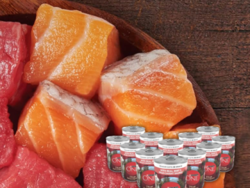 Purina ONE 12-Count True Instinct Tender Cuts Beef & Salmon Wet Dog Food as low as $16.99 Shipped Free (Reg. $27) – $1.42/13 Oz Can