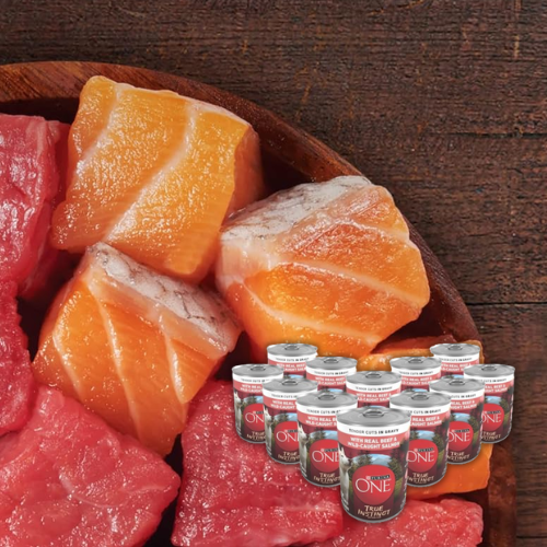 Purina ONE 12-Count True Instinct Tender Cuts Beef & Salmon Wet Dog Food as low as $16.99 Shipped Free (Reg. $27) – $1.42/13 Oz Can