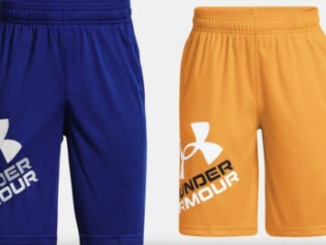 Boys' UA Prototype 2.0 Logo Shorts