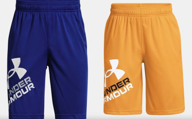 Boys' UA Prototype 2.0 Logo Shorts