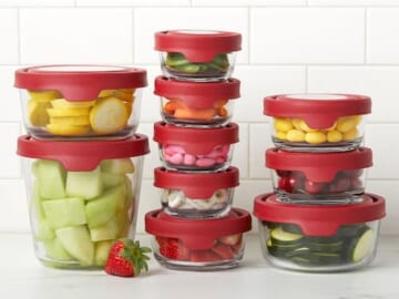 Anchor Hocking TrueSeal 20-piece Leak-Proof Glass Food Storage Set