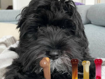 Nylabone 3-Count Small Frenzy Power Chew Variety Pack as low as $5.99 when you buy 4 (Reg. $8.34) + Free Shipping – $1.99 Each – Chili Cheese Dog, Popcorn, & Cherry