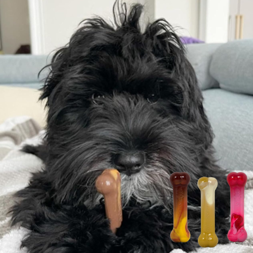 Nylabone 3-Count Small Frenzy Power Chew Variety Pack as low as $5.99 when you buy 4 (Reg. $8.34) + Free Shipping – $1.99 Each – Chili Cheese Dog, Popcorn, & Cherry