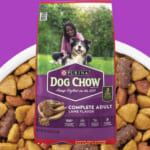Purina Dog Chow High Protein Dry Dog Food, Lamb Flavor 44-Lb $25.98 (Reg. $54.61)