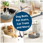 Dog Beds, Pet Stairs, Cat Trees and More from $15.99 (Reg. $25.99+)