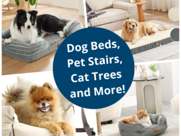 Dog Beds, Pet Stairs, Cat Trees and More from $15.99 (Reg. $25.99+)