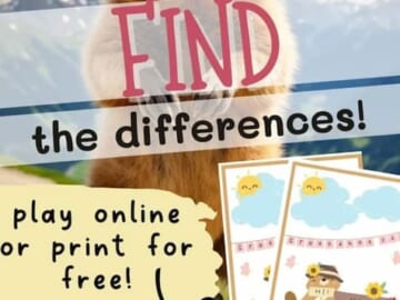 Free Printable Groundhog Day Activity