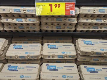 18-Count Cartons Of Kroger Eggs Just $1.99 At Kroger