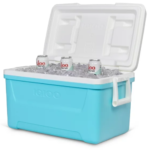 Igloo 48-Quart Hard-Sided Ice Chest Cooler $24.98 (Reg. $40)