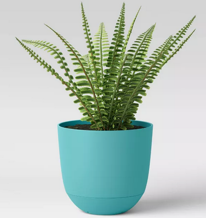Room Essentials Self Watering Planters only $1.50!