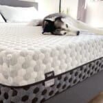 Layla Presidents' Day Mattress Sale: Up to $200 off + free shipping
