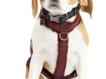 Petco Clearance Event: up to 50% off + up to an extra 20% off + pickup