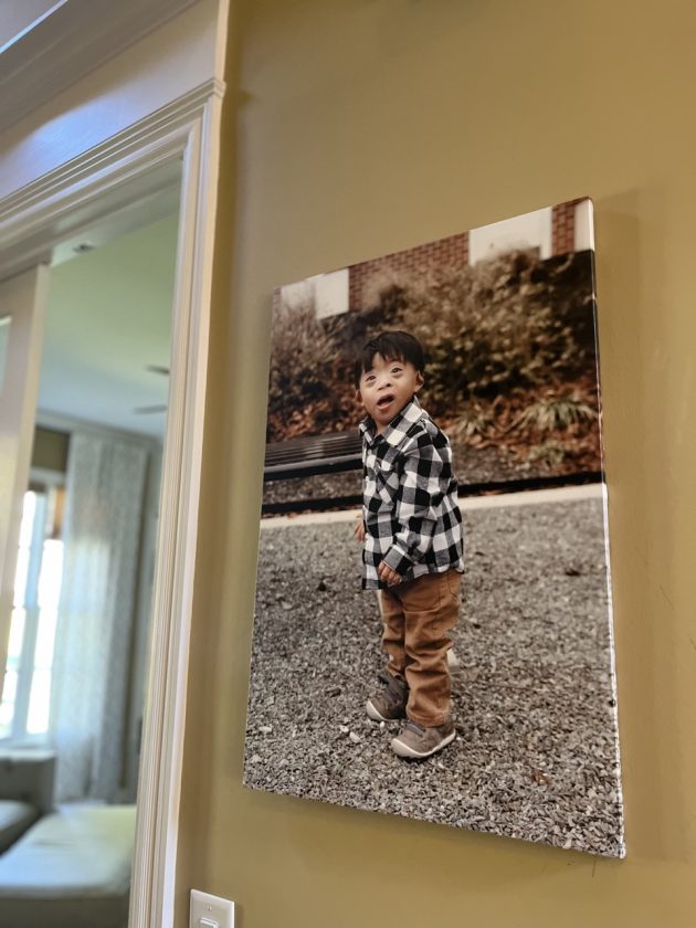 CanvasChamp adoption day