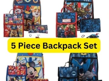 Backpack & Lunchbag 5-Piece Sets $12.56 (Reg $42) – Paw Patrol, Micky Mouse, Avengers & More