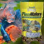 Tetra PRO PlecoWafers Vegetarian Fish Food as low as $3.24 After Coupon (Reg. $9.39) + Free Shipping – FAB Ratings!