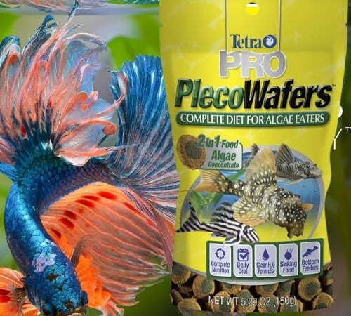 Tetra PRO PlecoWafers Vegetarian Fish Food as low as $3.24 After Coupon (Reg. $9.39) + Free Shipping – FAB Ratings!