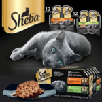 Sheba Perfect Portions 24 Servings Cuts in Gravy Adult Wet Cat Food Trays 12 Count Variety Pack as low as $10.48 After Coupon (Reg. $14) + Free Shipping – 87¢/Twin Pack or 44¢/Serving