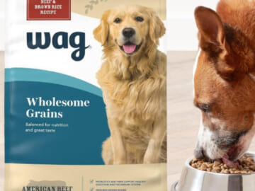 Dog Food from Amazon Brands as low as $9.58 Shipped Free (Reg. $14+)