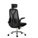 Logicfox Ergonomic Adjustment Chair for $79 + free shipping