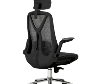 Logicfox Ergonomic Adjustment Chair for $79 + free shipping