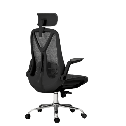 Logicfox Ergonomic Adjustment Chair for $79 + free shipping