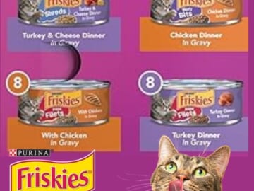 Purina Friskies Gravy Wet Cat Food, Poultry Shreds, 32-Pack as low as $16.87 After Coupon (Reg. $25.28) + Free Shipping – 53¢/Can