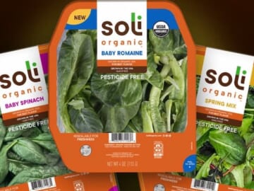 Soli Organic Salad at Target!