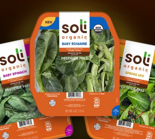 Soli Organic Salad at Target!