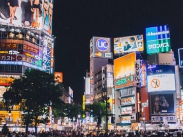 Holland America Line 15-Night Tokyo to Seattle Cruise in April From $2,078 for 2