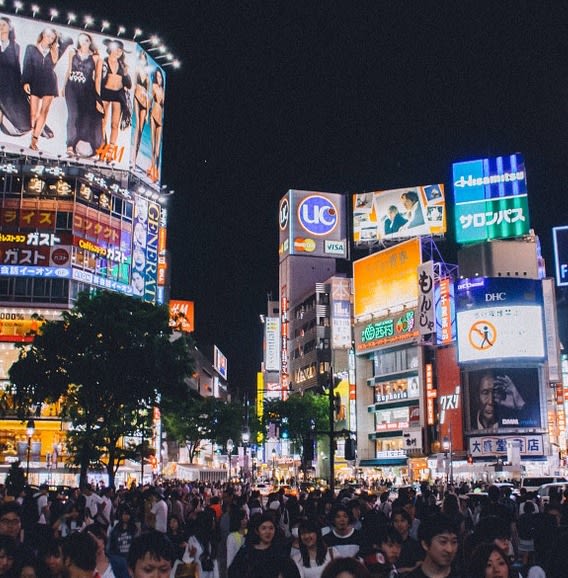 Holland America Line 15-Night Tokyo to Seattle Cruise in April From $2,078 for 2